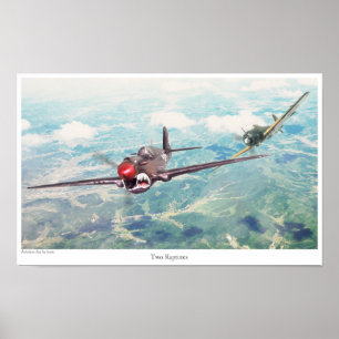 Aeronáutica Poster "P-40 Warhawk"