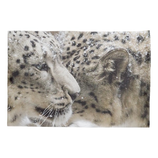 Afago do leopardo de neve (Verso)