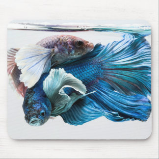 Afagos Betta Mousepad
