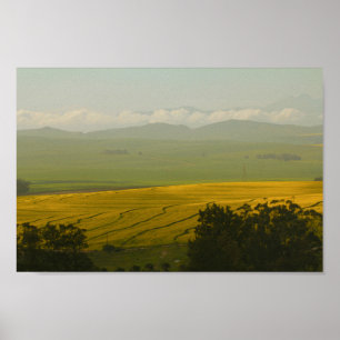 África do Sul Paisagem Rural Canola Fields Poster