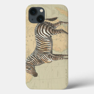 Africa Map and a Zebra