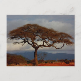 África Safari Romântica Bridal Obrigado Cartões