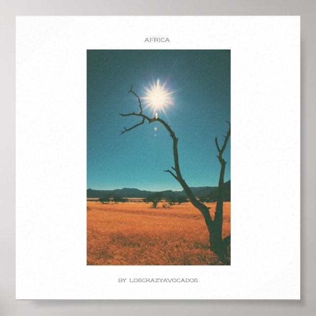 África Savannah Grass Tree View Panorama Poster (Frente)