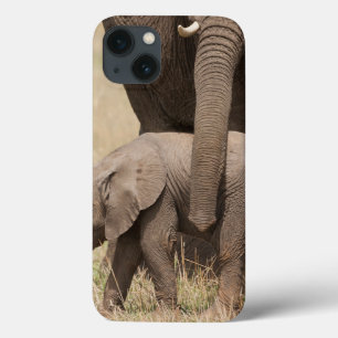 African Baby Elephant with Mother