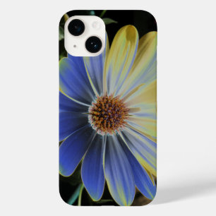 African Daisy Lapis e Dourada