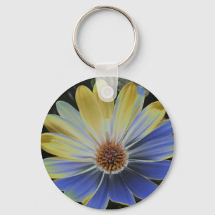African Daisy Lapis e Dourada Chaveiro