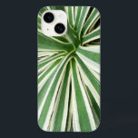 Agave Plant Green e White Strike<br><div class="desc">Aqui está uma foto do centro de uma planta Agave dos conservatórios do Brookside Garden. O guia nos explicou que essa é a planta usada para fazer tequila. Esta foto também é apresentada como o papel de parede widescreen "Agave Plant" em MLeWallpapers.com.</div>