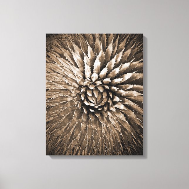 Agave Spikes Sepia Impressão na Canvas 22" x 22" (Frente)
