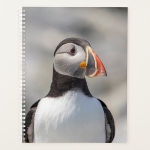 Agenda 2022 Atlantic Puffin no Maine