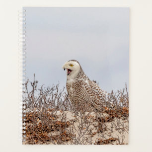 Agenda 2022 Snowy Owl