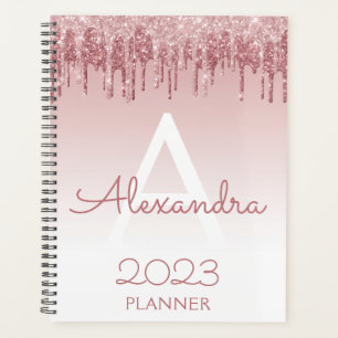 Agenda 2023 Rosa Dourado Blush Rosa Brilho Brilhe Monogra