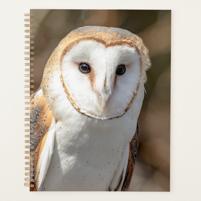 Agenda 2024 Barn Owl (Frente)