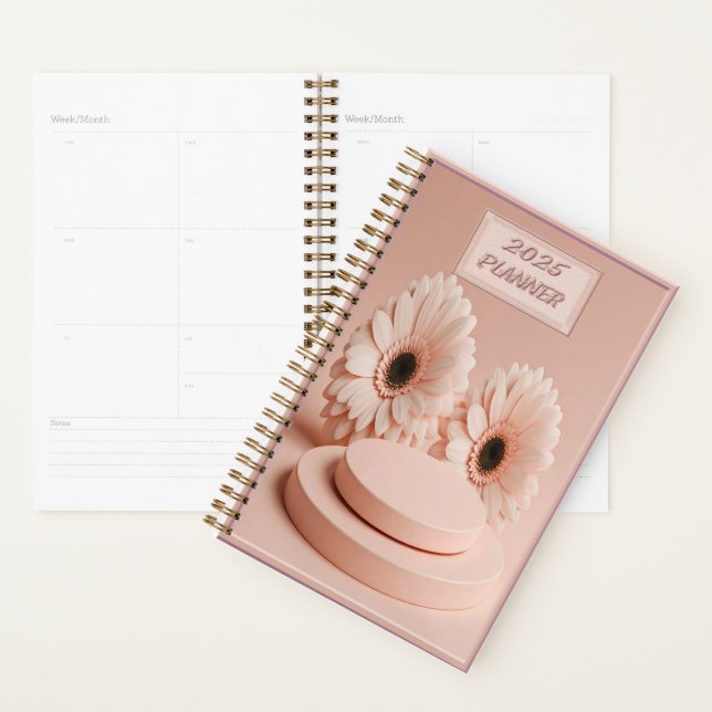 AGENDA 2025 (Exibição)