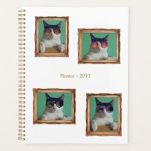 4 Colagem de Fotografias Vintage Frame Cats Famíli