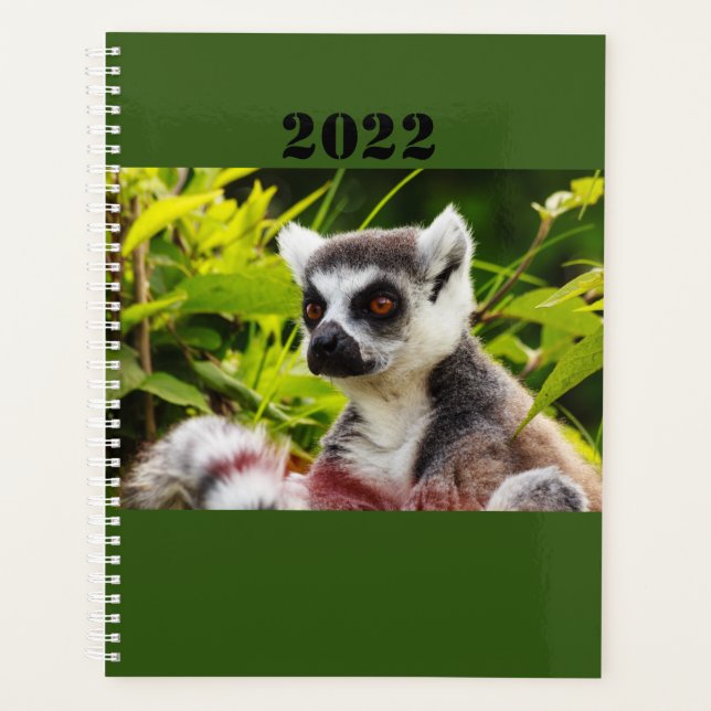 Agenda a lemur of Madagascar on planner (Frente)