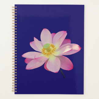 Agenda A vibrant lotus flower