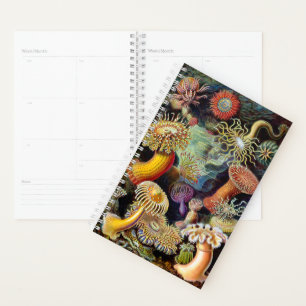 Agenda Actiniae por Ernst Haeckel Planner