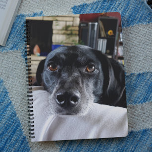 Agenda Adicione a foto do seu cão a este personalizado