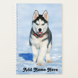 Agenda Adorável Husky Siberiano Puppy na neve