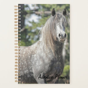 Agenda Adventure Planner