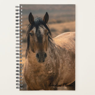 Agenda Adventure Planner