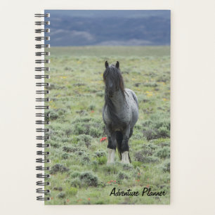 Agenda Adventure Planner