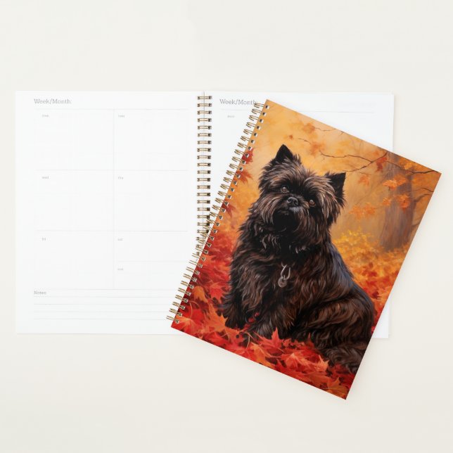 Agenda Affenpinscher deixa cair inspirada (Exibição)
