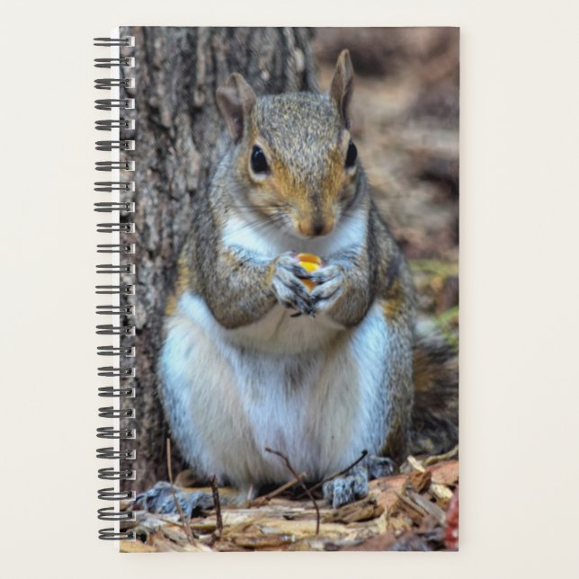 Agenda Ahhh... É hora de jantar (Frente)