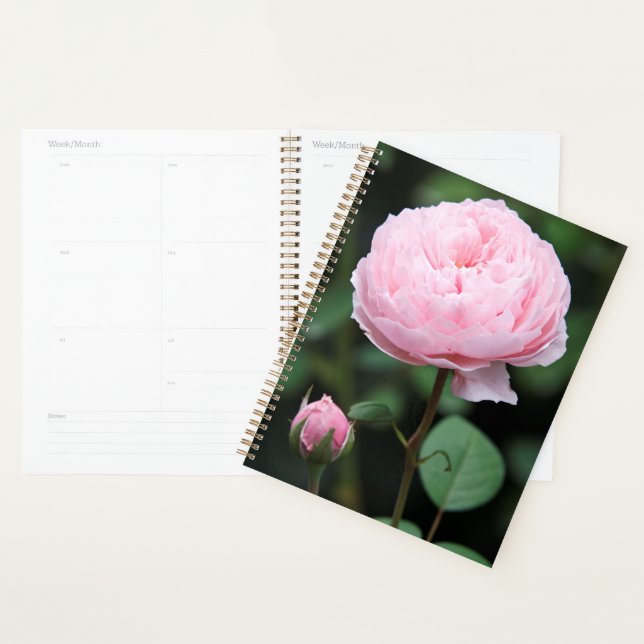 Agenda Alnwick Castle Rosa (Exibição)
