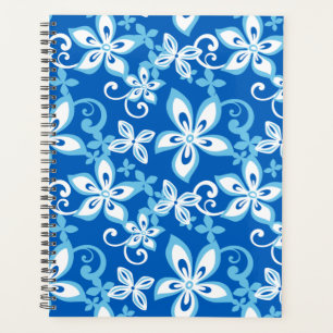 AGENDA ALOHA HAWAII (BLUES)