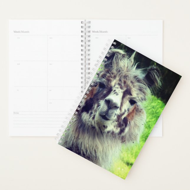 Agenda Alpaca (Exibição)