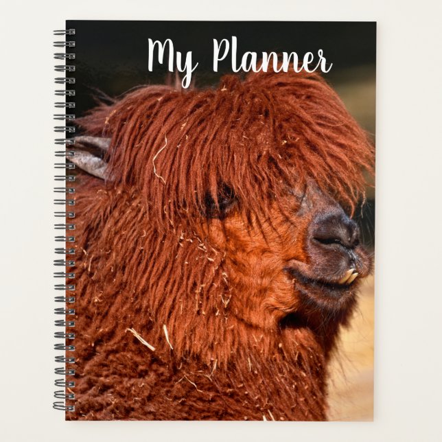 Agenda Alpaca (Frente)