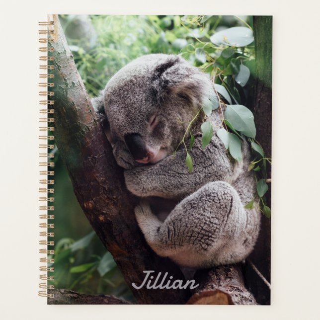 Agenda Amantes de os animais de Urso de Koala Cute (Frente)