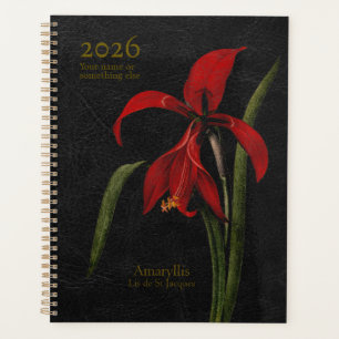 Agenda Amaryllis Grandiflora: O Arauto da Esplendor