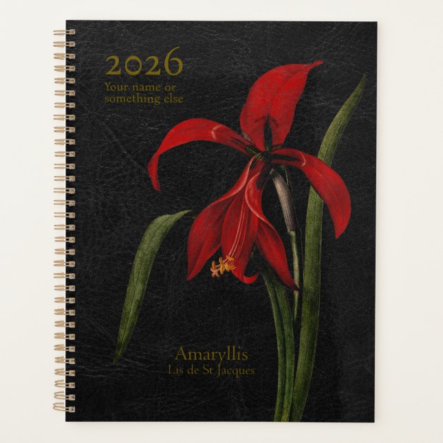 Agenda Amaryllis Grandiflora: O Arauto da Esplendor (Frente)