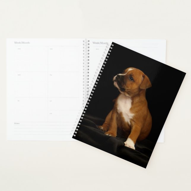 Agenda American Buldogue Puppy (Exibição)