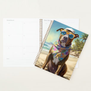 Agenda American Staffordshire na Praia, presente de verão