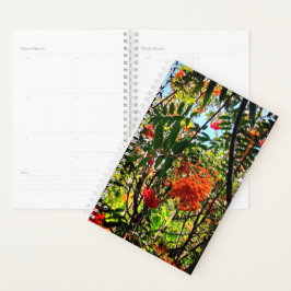 Agenda Amoras amarelas e vermelhas