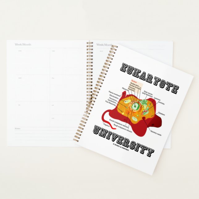 Agenda Anatomia das células animais da Universidade Eukar (Exibição)