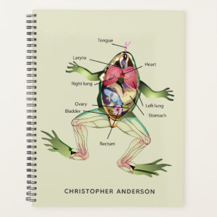 Agenda Anatomia do Sapo Personalizada