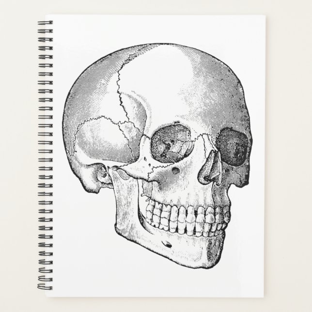 Agenda Anatomia médica desenho do crânio de colheita mono (Frente)