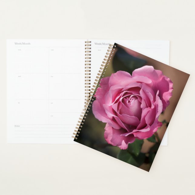 Agenda Angel Face Rosa (Exibição)