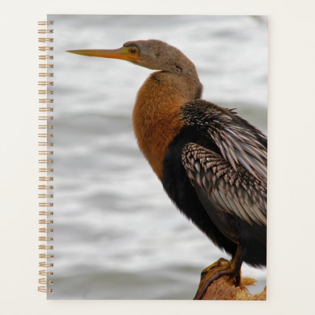 Agenda Anhinga de Vigia (Frente)