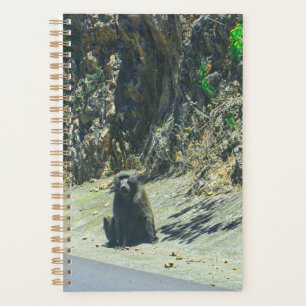 Agenda Animais Selvagens