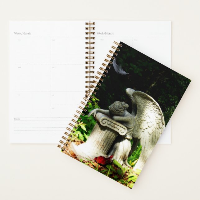 Agenda Anjo de choro (Exibição)