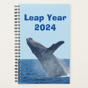 Agenda Ano Leap 2024