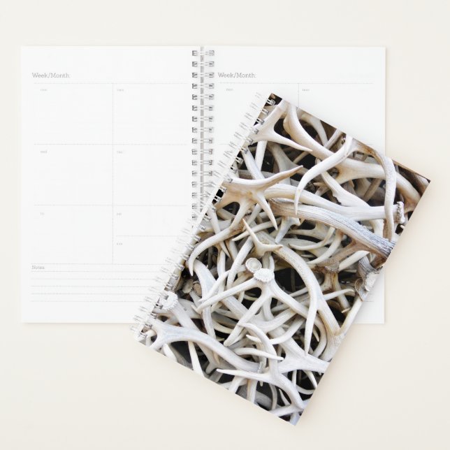 Agenda Antilhas Elk do Sm Planner (Exibição)