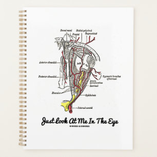 Agenda Apenas Olhe Para Mim Na Anatomia Dos Olhos Humanos