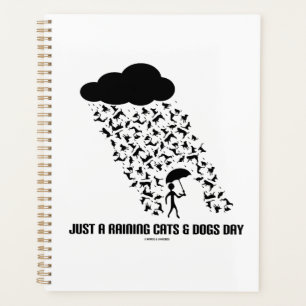 Agenda Apenas Um Humor Meteorológico De Cães E Gatos Em C