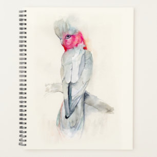 Agenda Aquarela